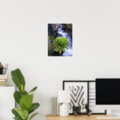 Riesenkreuzkraut oder Dendrosenecio 2 Poster (Heimbüro)