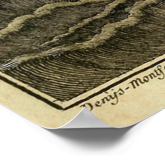 Riesenktopus Vintag 1801 Etching Poster (Ecke)