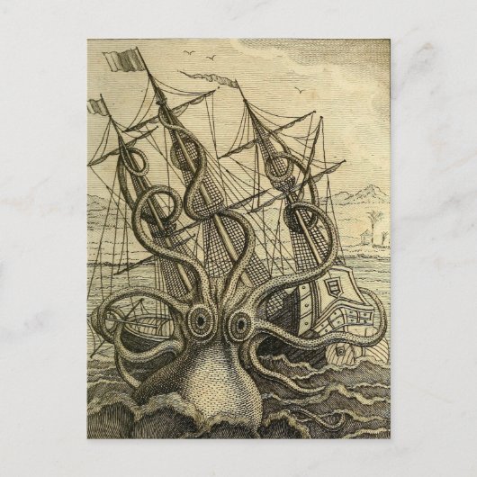 Riesenktopus Vintag 1801 Etching Postkarte (Vorderseite)