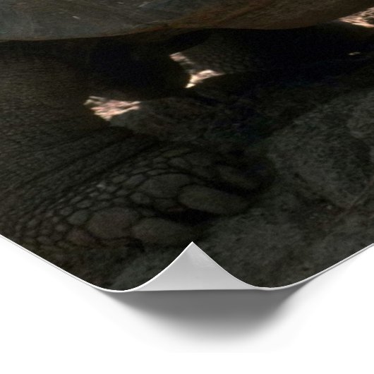 Riesenkurve Poster (Ecke)