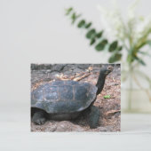 Riesenkurve Postkarte (Stehend Vorderseite)