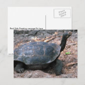 Riesenkurve Postkarte (Vorne/Hinten)