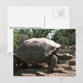Riesenkurve Postkarte (Vorne/Hinten)