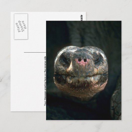 Riesenkurve Postkarte (Vorne/Hinten)