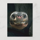 Riesenkurve Postkarte (Vorderseite)