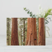 Riesenlatoia-Panorama Dankeskarte (Stehend Vorderseite)