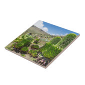 Riesenlobelie (Lobelia Deckenii) im Berg Kenia Fliese (Seite)