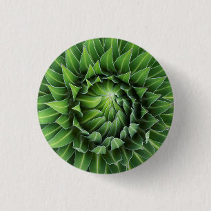 Riesenlobelie  Nationalpark Mount Kenya, Kenia Button