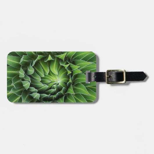 Riesenlobelie| Nationalpark Mount Kenya, Kenia Gepäckanhänger (Vorderseite horizontal)