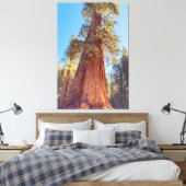 Riesenmammutbaum Leinwanddruck (Insitu (Schlafzimmer))