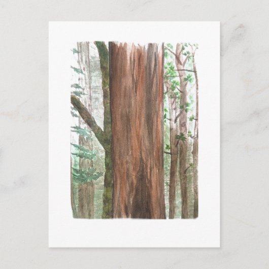 Riesenmammutbaum-Postkarte Postkarte (Vorderseite)