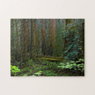 Riesenmammutbäume im Muir Woods National Park Puzzle