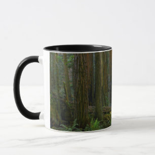 Riesenmammutbäume im Muir Woods National Park Tasse