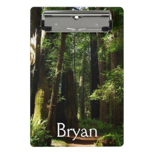 Riesenmammutbäume und Farne im Redwood National Pa Mini Klemmbrett