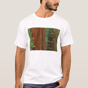 Riesenmammutbaumstämme im Wald, Yosemite T-Shirt
