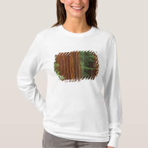 Riesenmammutbaumstämme im Wald, Yosemite T-Shirt