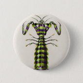 Riesenmantis-Garnelen Button (Vorderseite)