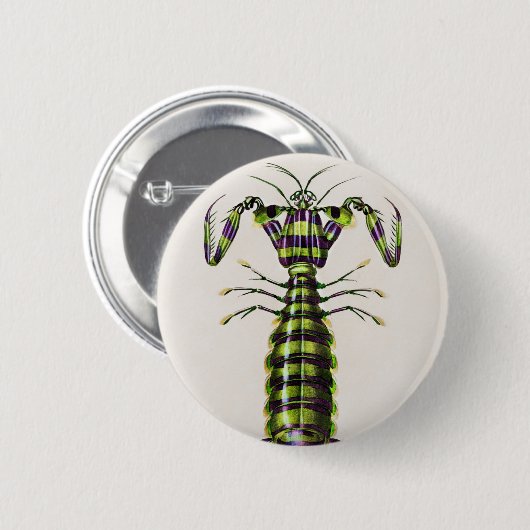 Riesenmantis-Garnelen Button (Vorne & Hinten)