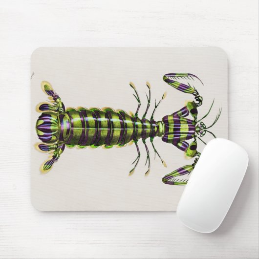 Riesenmantis-Garnelen Mousepad (Mit Mouse)