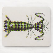 Riesenmantis-Garnelen Mousepad (Vorne)
