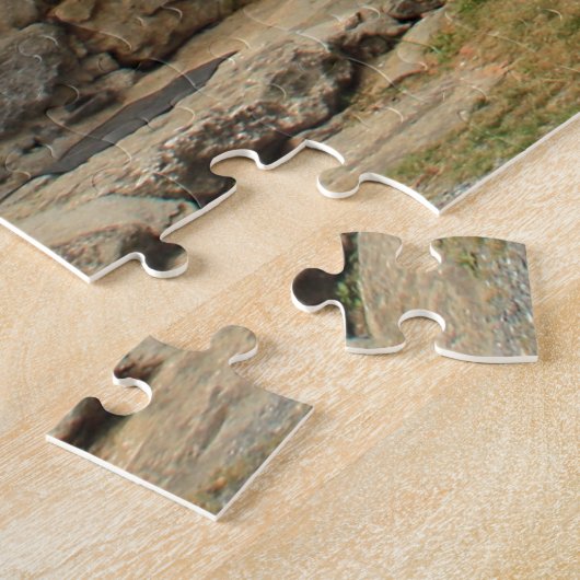 Riesenmuschel-Muschel, El Camino Puzzle (Seite)