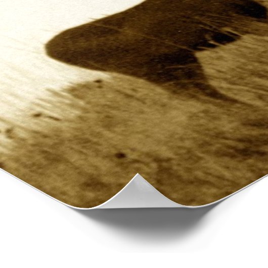 Riesenmuschelknochen Poster (Ecke)