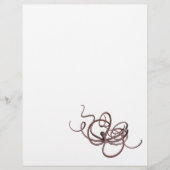 Riesenoctopus (Vorderseite)