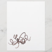 Riesenoctopus (Vorderseite)