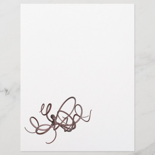 Riesenoctopus (Vorderseite)