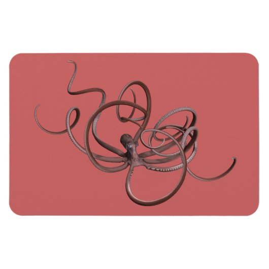 Riesenoctopus Magnet (Horizontal)