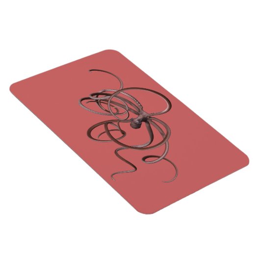 Riesenoctopus Magnet (Rechte Seite)