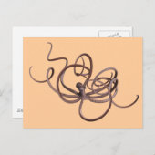 Riesenoctopus Postkarte (Vorne/Hinten)