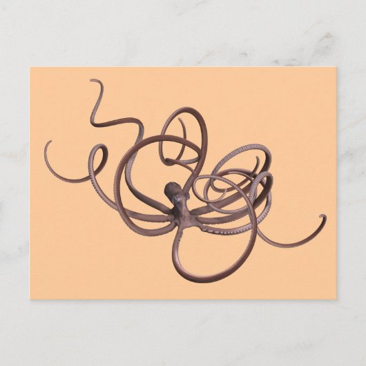 Riesenoctopus Postkarte (Vorderseite)