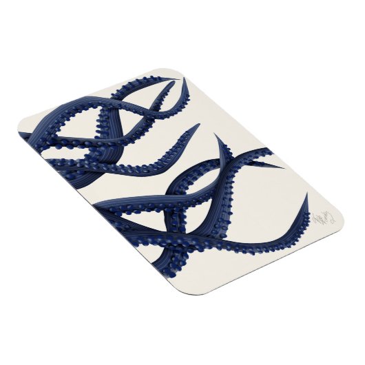 Riesenoctopus Tentacles Magnet (Rechte Seite)