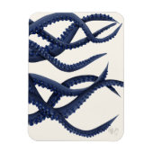 Riesenoctopus Tentacles Magnet (Vertikal)