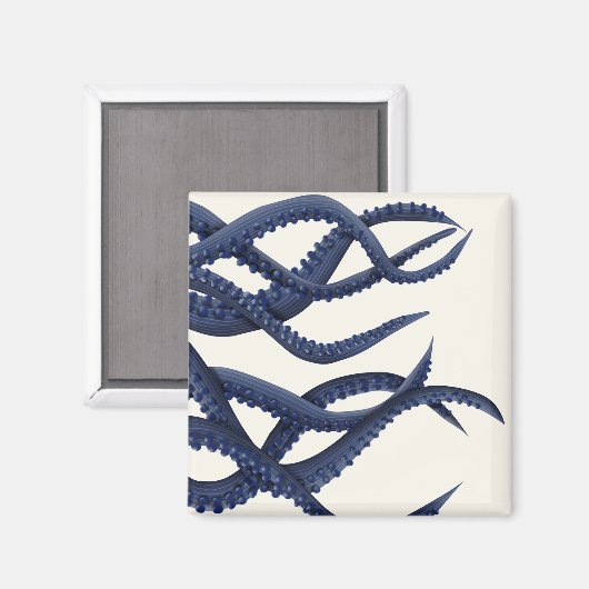 Riesenoctopus Tentacles Magnet (Vorderseite/Rückseite)