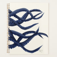 Riesenoctopus Tentacles