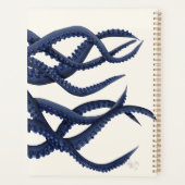 Riesenoctopus Tentacles Planer (Rückseite)