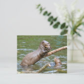 Riesenotter, der Fisch isst Postkarte (Stehend Vorderseite)
