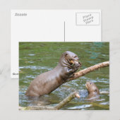 Riesenotter, der Fisch isst Postkarte (Vorne/Hinten)