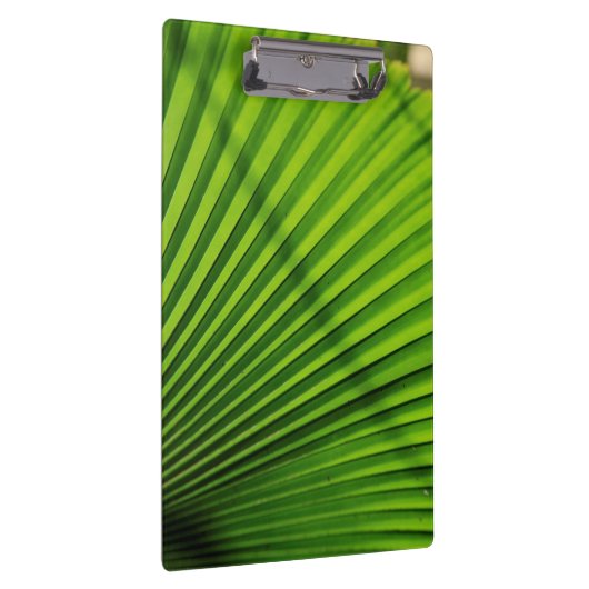 Riesenpalmenmuster Klemmbrett (Rechts)