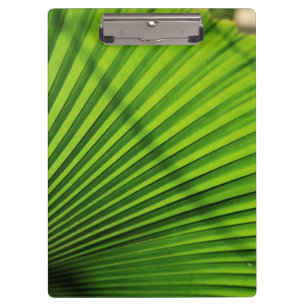 Riesenpalmenmuster Klemmbrett