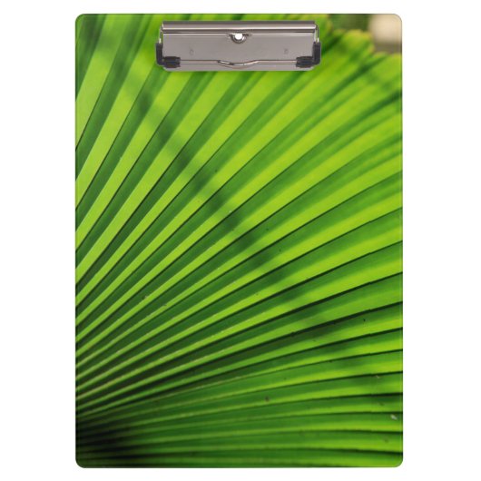 Riesenpalmenmuster Klemmbrett (Vorderseite)