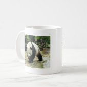 Riesenpanda大 熊 猫 kaffeetasse (Vorderseite Links)