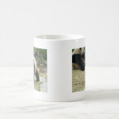 Riesenpanda大 熊 猫 kaffeetasse (Mittel)