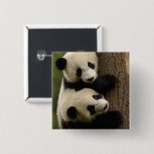 Riesenpanda (Ailuropoda melanoleuca) 2 Button (Vorne & Hinten)