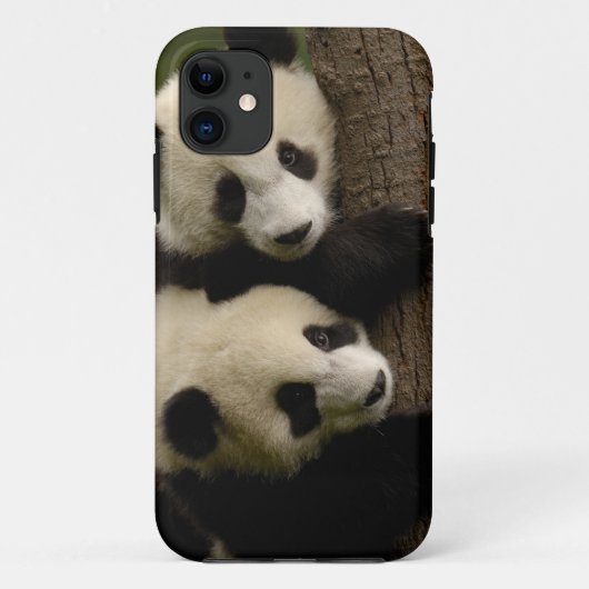 Riesenpanda (Ailuropoda melanoleuca) 2 Case-Mate iPhone Hülle (Rückseite)