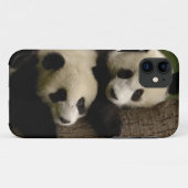 Riesenpanda (Ailuropoda melanoleuca) 2 Case-Mate iPhone Hülle (Rückseite (Horizontal))