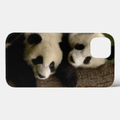 Riesenpanda (Ailuropoda melanoleuca) 2 Case-Mate iPhone Hülle (Rückseite (Horizontal))
