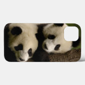 Riesenpanda (Ailuropoda melanoleuca) 2 Case-Mate iPhone Hülle (Rückseite (Horizontal))